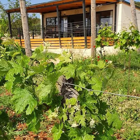 Collis Winery - Family & Friends - Mobilhome Campingplads