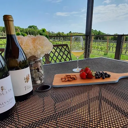 Collis Winery - Family & Friends - Mobilhome Rovinj