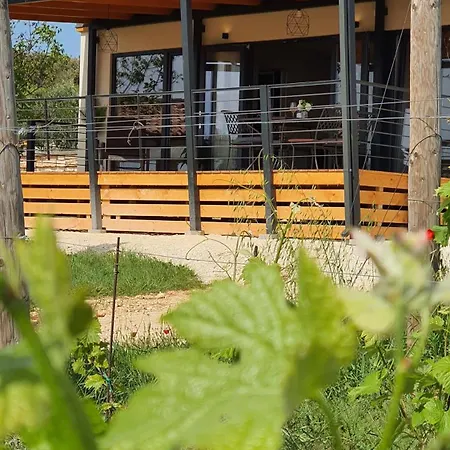 Collis Winery - Family & Friends - Mobilhome