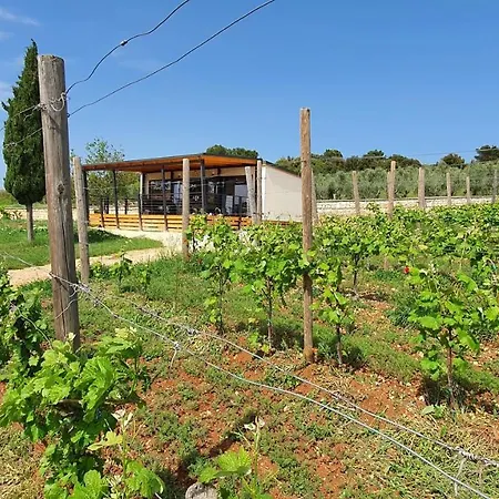 Collis Winery - Family & Friends - Mobilhome Campingplads *