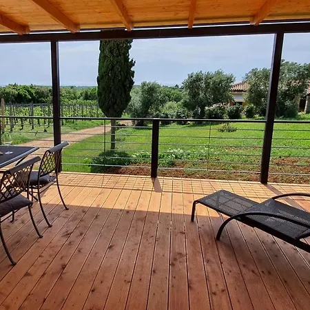 Collis Winery - Family & Friends - Mobilhome Campingplads Rovinj