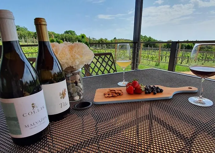 Collis Winery - Family & Friends - Mobilhome Rovinj