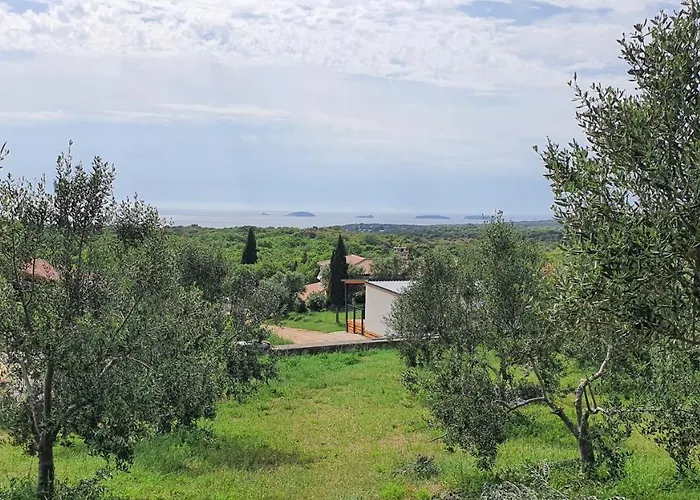 Collis Winery - Family & Friends - Mobilhome Camping