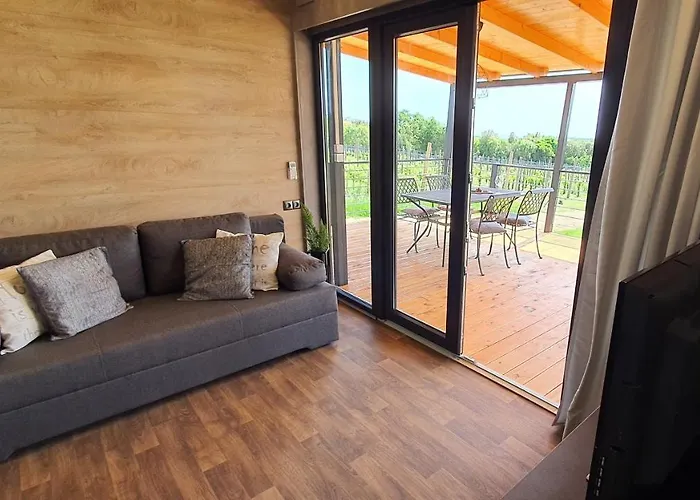 Collis Winery - Family & Friends - Mobilhome Rovinj