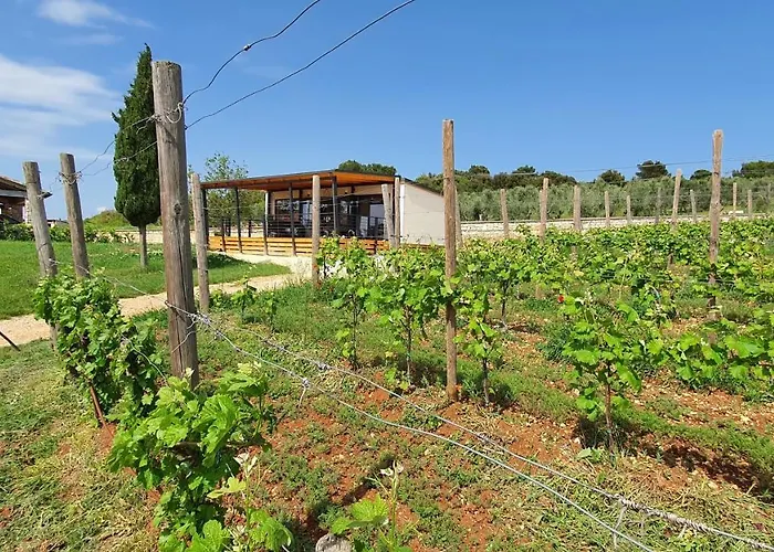 Collis Winery - Family & Friends - Mobilhome Camping *